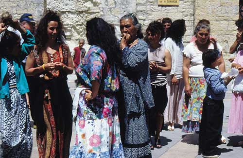 Foto Calloni